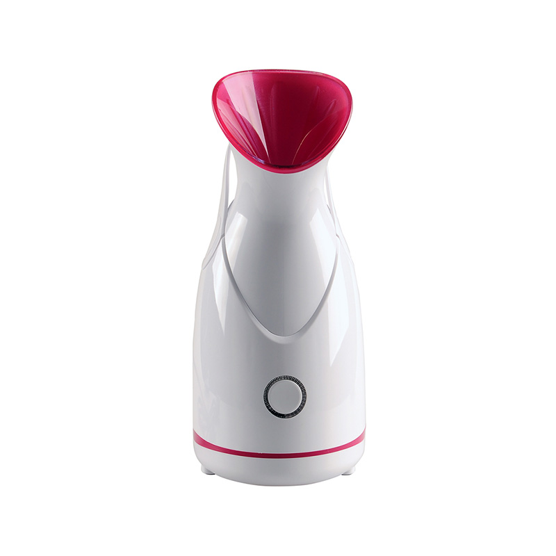 Vaporizador y masajeador facial eléctrico Hot Spa Nano Mist